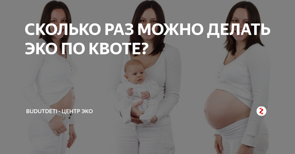 Стоит делать эко. Сколько можно делать эко. Сколько стоит эко. Сколько могут детей быть в эко. Сколько можно делать эко в год.