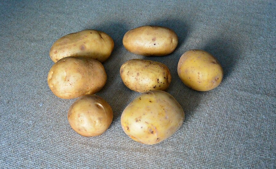 Картофель