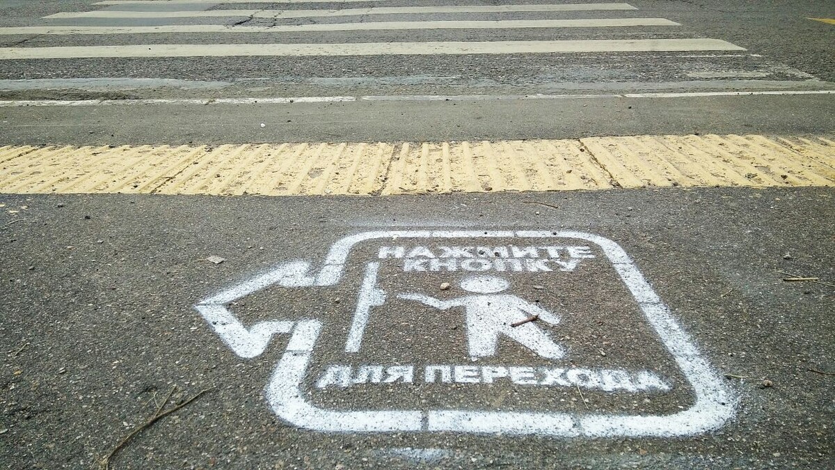   фото: Юлия Пасечник/Zelenograd.ru 