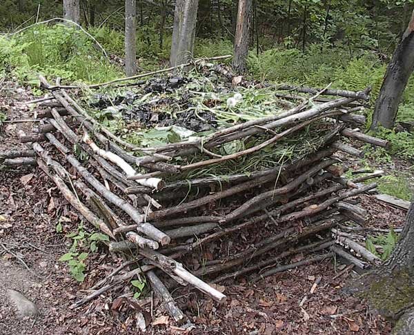 Ответ тем, кто говорит что на все нужны деньги.