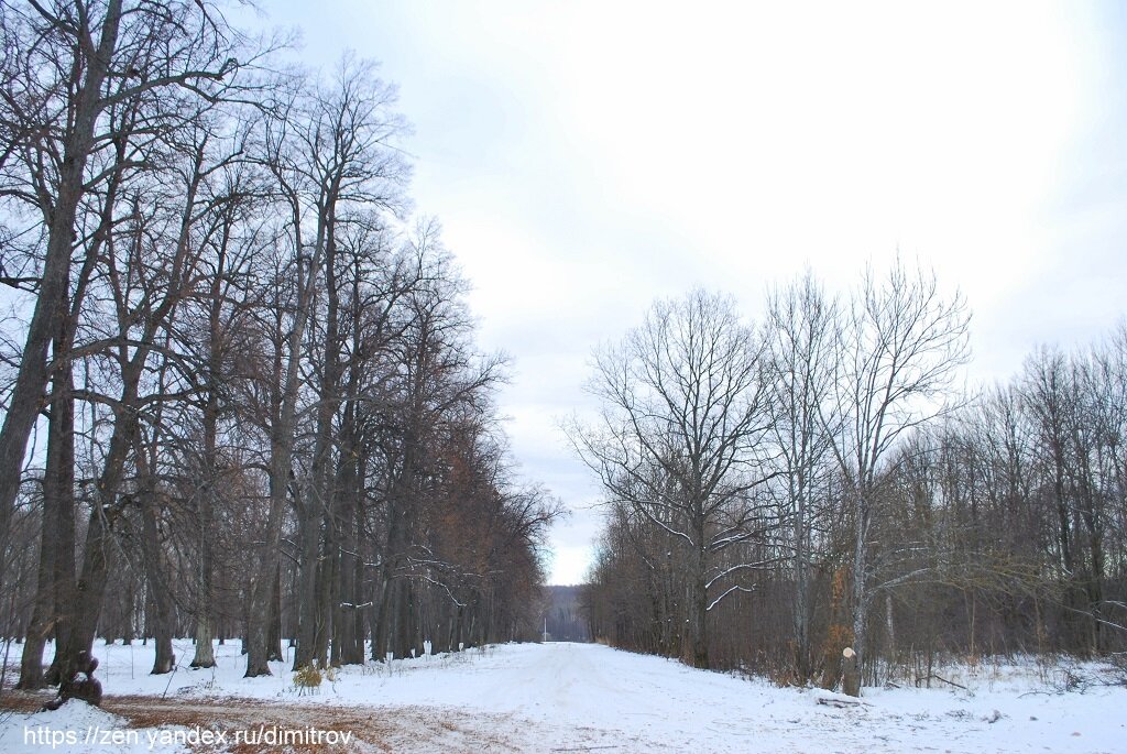 Дорога ко Львовке