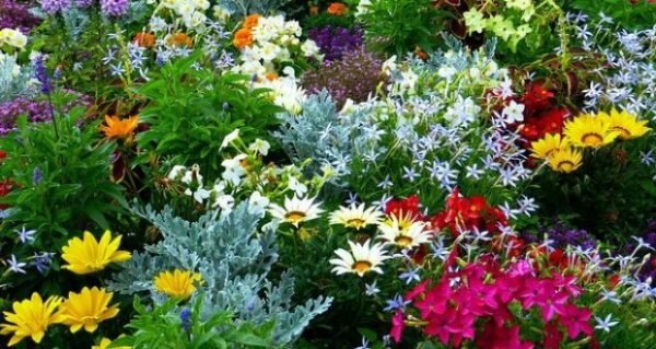 За обилие цветов и трав июнь называли светлояром