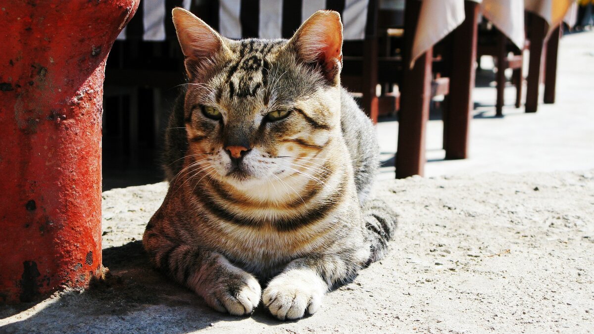 Продолжение ожидания