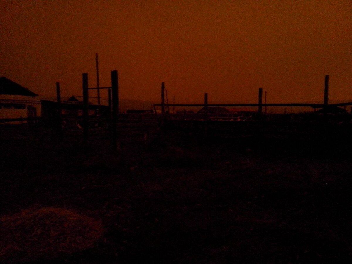 Фото очевидцев запечатлело странное событие.