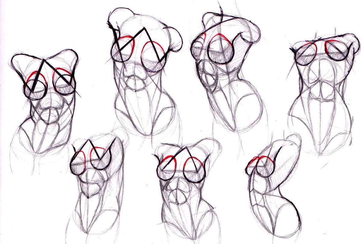 Основы рисования женской фигуры: грудь | Творческая мастерская | Дзен