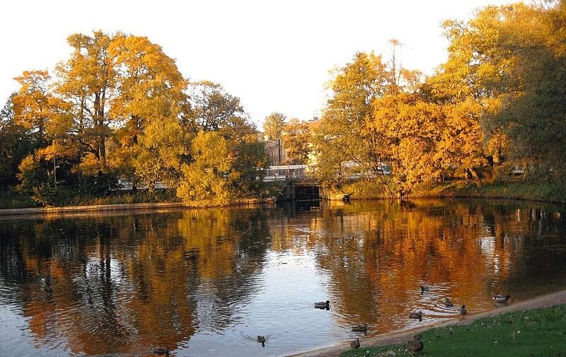 Фото: Википедия