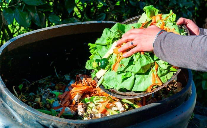 В процессе кухонной деятельности по переработке продуктов, используемых для приготовления еды, остаётся некоторое количество отходов безжалостно выбрасываемых в мусор, хотя они могли бы иметь полезное-2