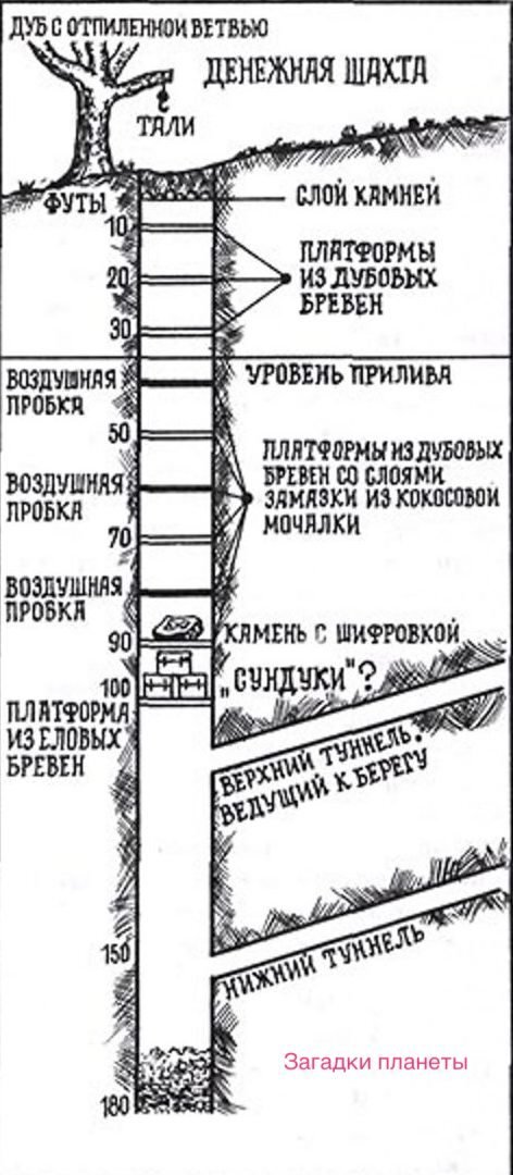 Фотография с сайта: https://p-i-f.livejournal.com/13431575.html
