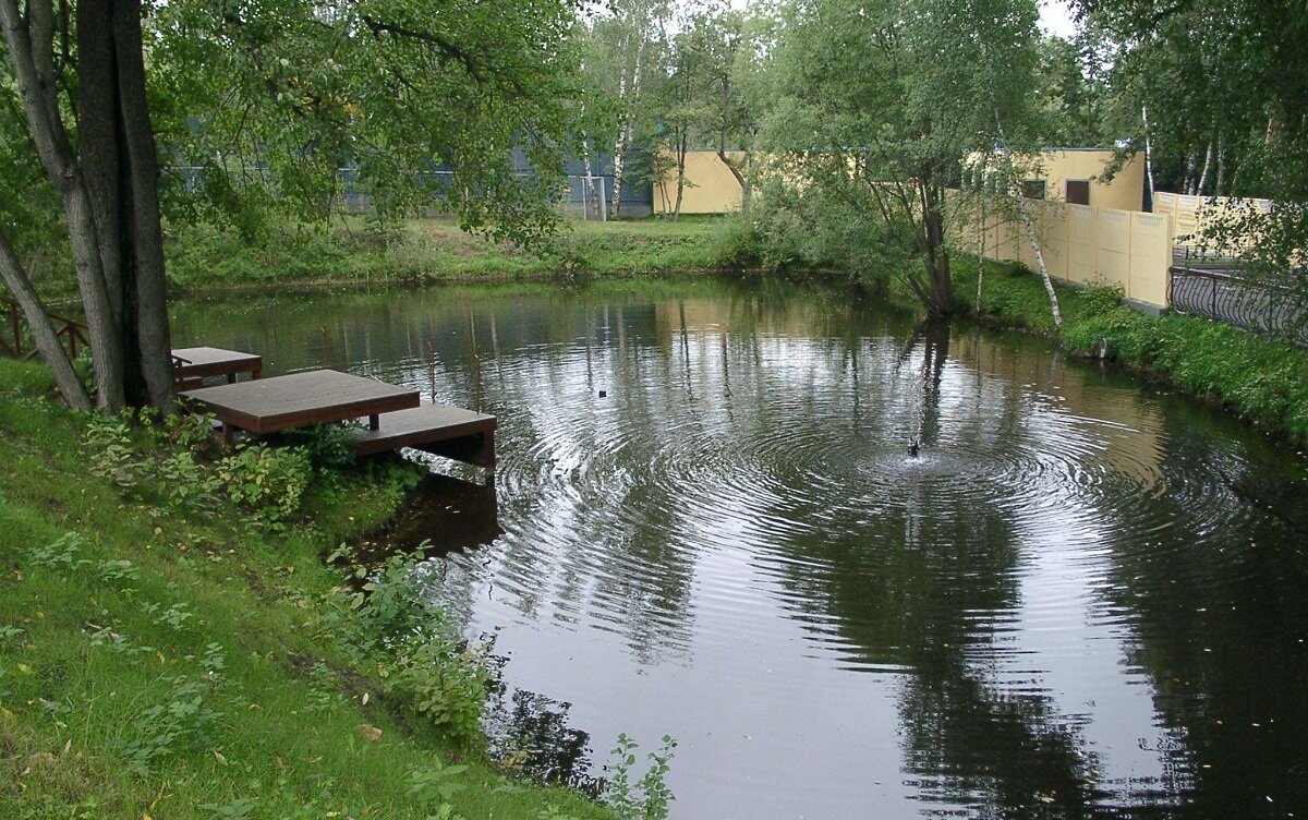 фото озера своими руками