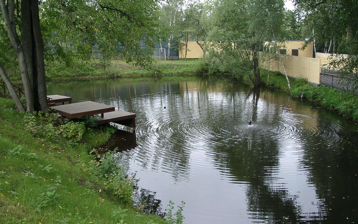 Искусственный пруд для разведения рыбы