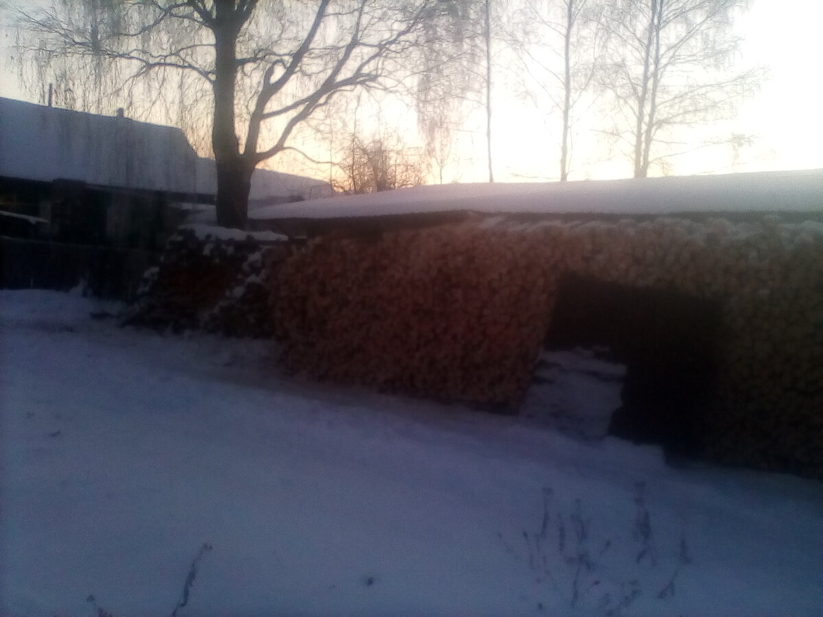 Полная поленница дров