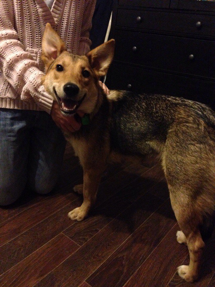 Маняша привыкает и оживает