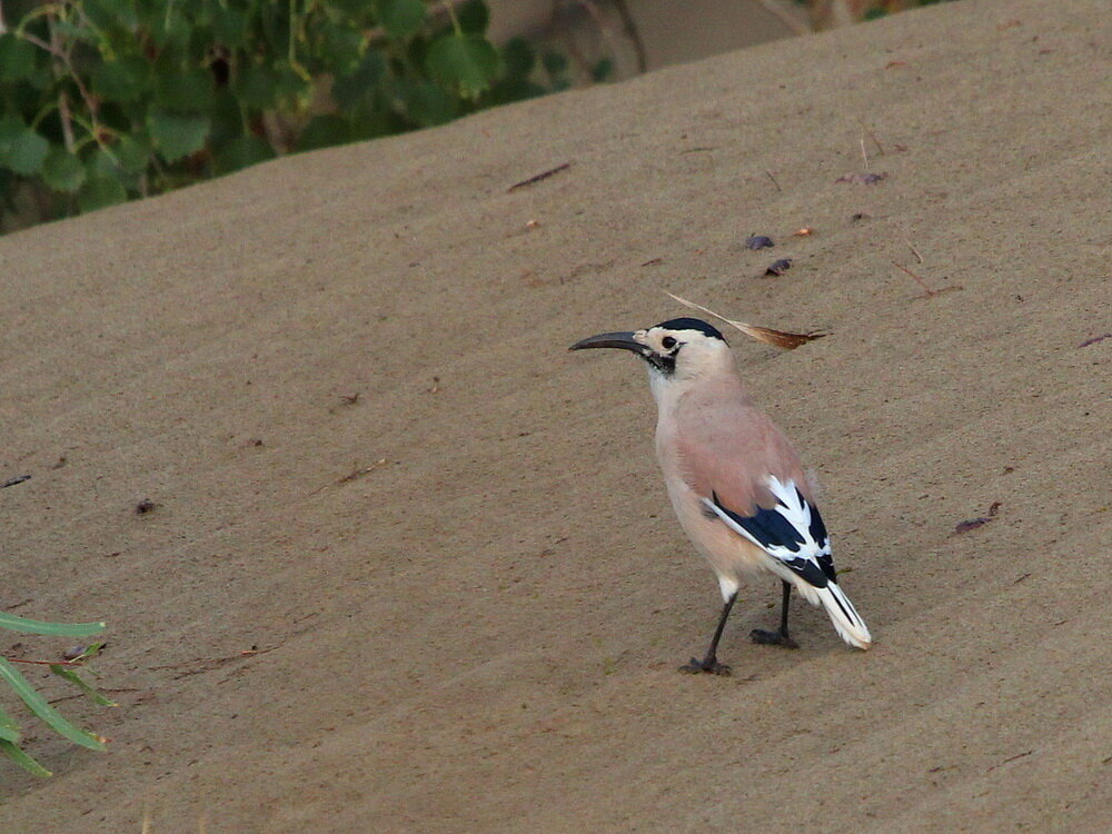 Когда вспоминаешь свои прошедшие годы и размышляешь, что раньше было лучше