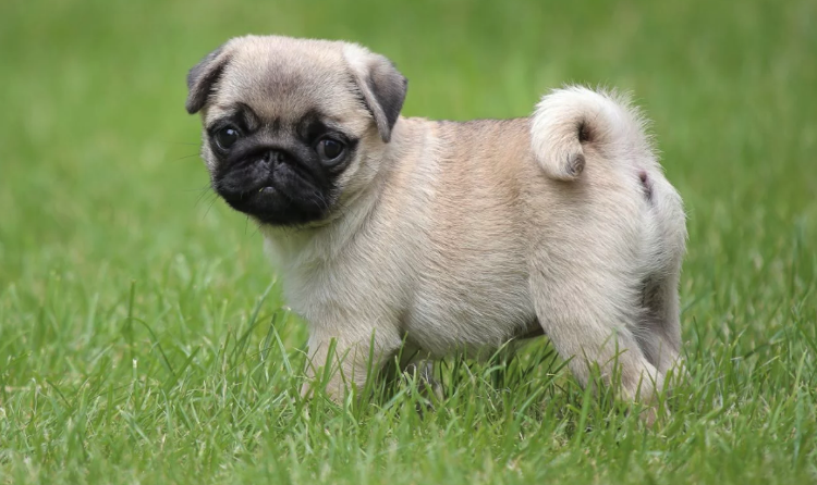 Палец вверх и подписка малышу! 😌 😍