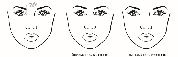 Относительно вертикальной симметрии:

Близко посаженные – наращиваем максимально во внешнем уголке глаза, не используем длинные ресницы.
