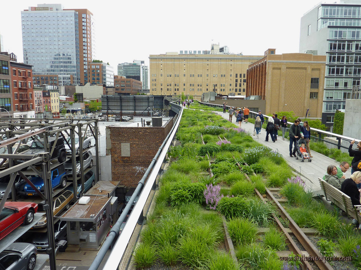 New high. Парк Хай-лайн в Нью-Йорке. Хайнлайн парк Нью Йорк. High line Park в Нью-Йорке. Парк Хай лайн в Манхэттене.