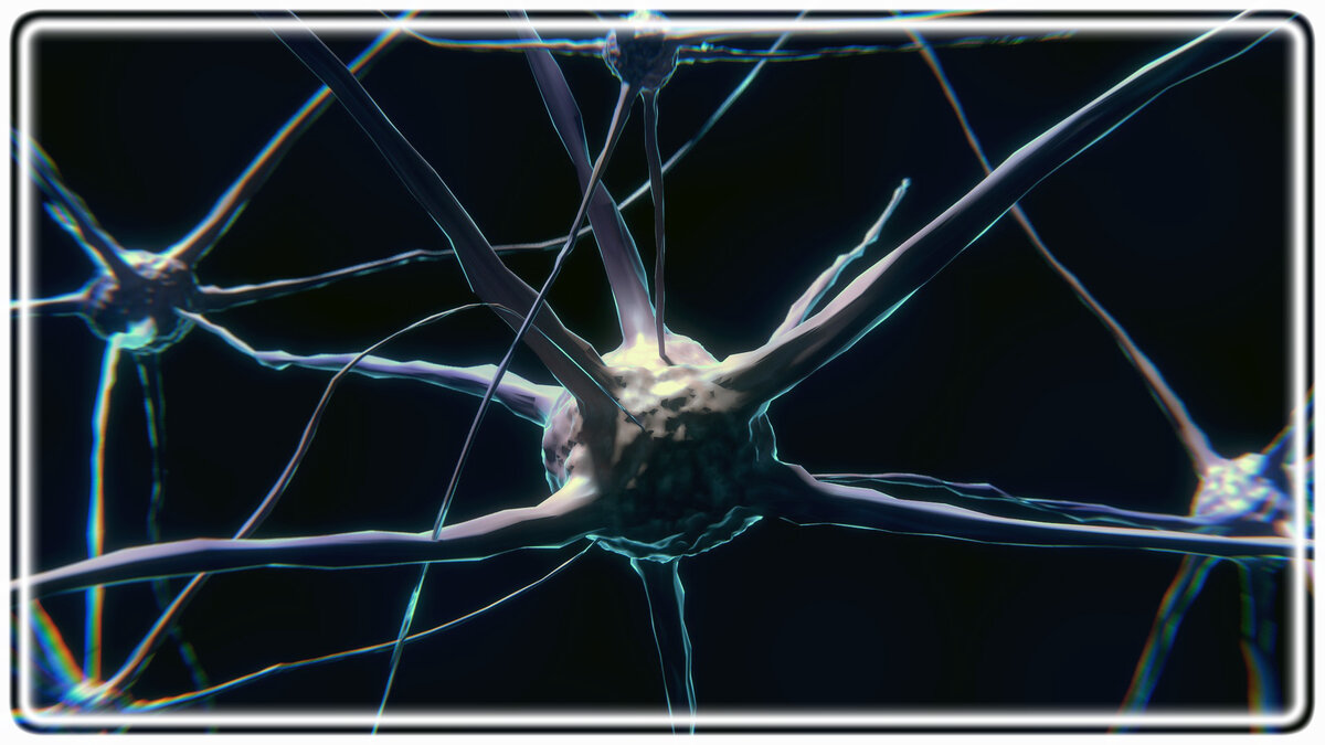 Нейроны, Иллюстрация: pixabay.com