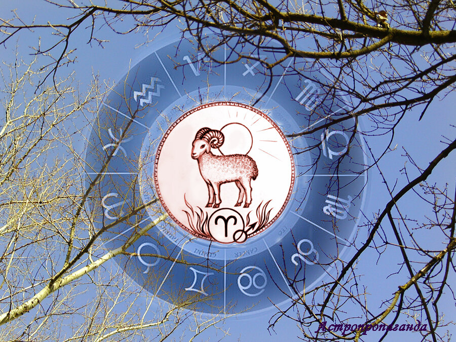 Коллаж Нины Стрелковой.