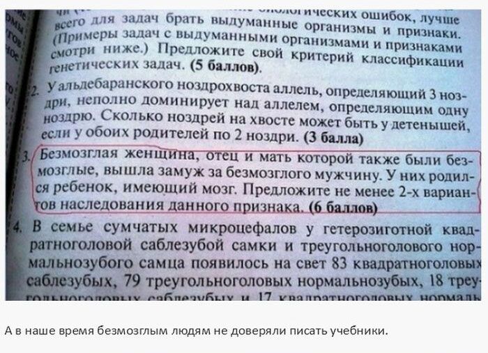 Источник фото сервис Яндекс.Картинки