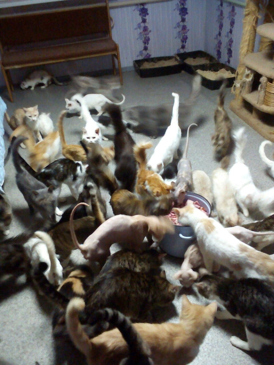 Из Вконтакте