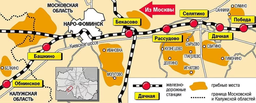 Электричка загородная. Грибные места в подмосковье. Электричка загородная. Схема жд станций казанского направления электричек. Куда поехать в подмосковье на электричке.