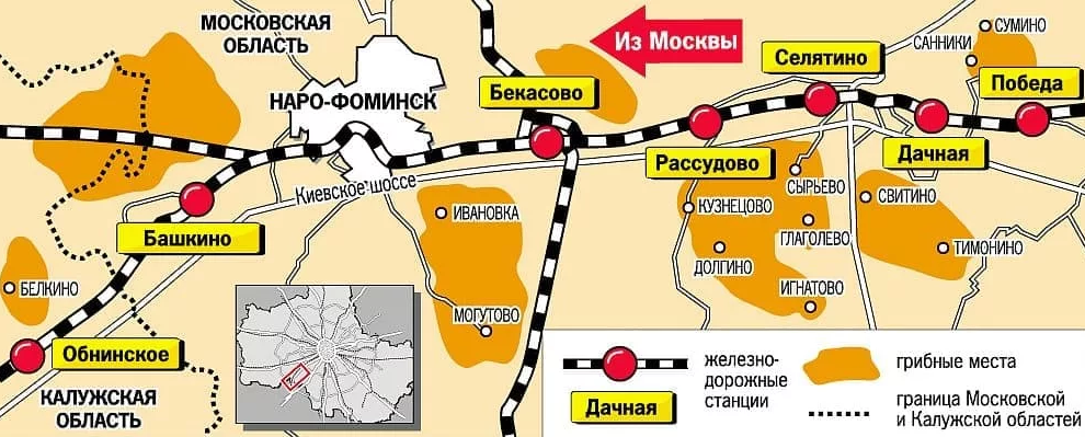 Карта сбора ягод в московской области