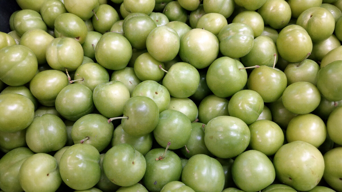 Зеленая алыча, которая легко может заменить плоды ткемали.