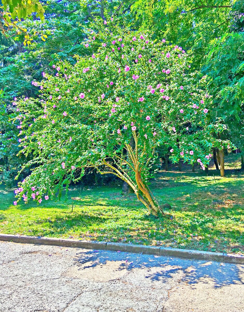 Рай, другими словами