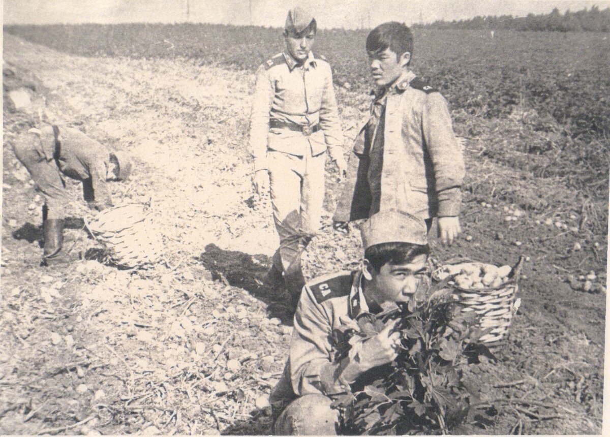 «Полевая» служба»  