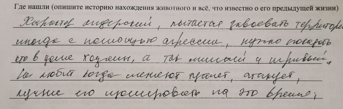Не любит момент, когда из его лоточка крадут какули, ругается и может немного нападать.  