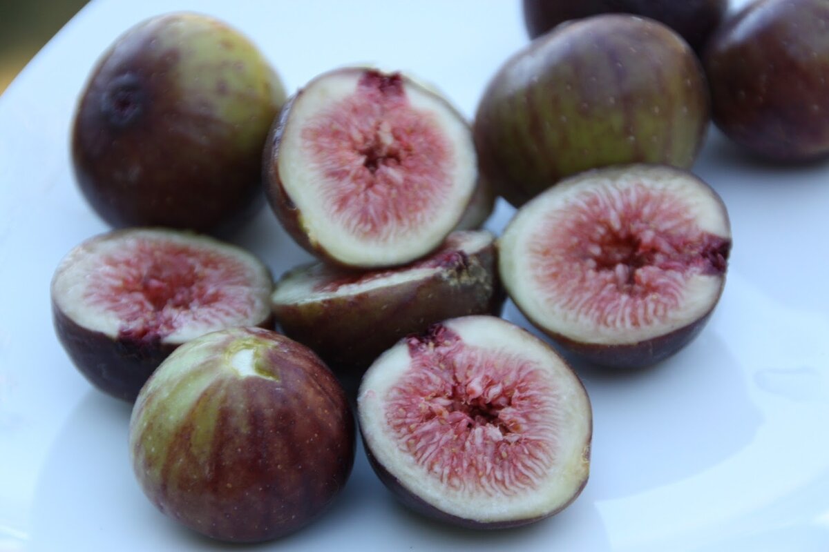 Картинка из свободного доступа в сети интернет