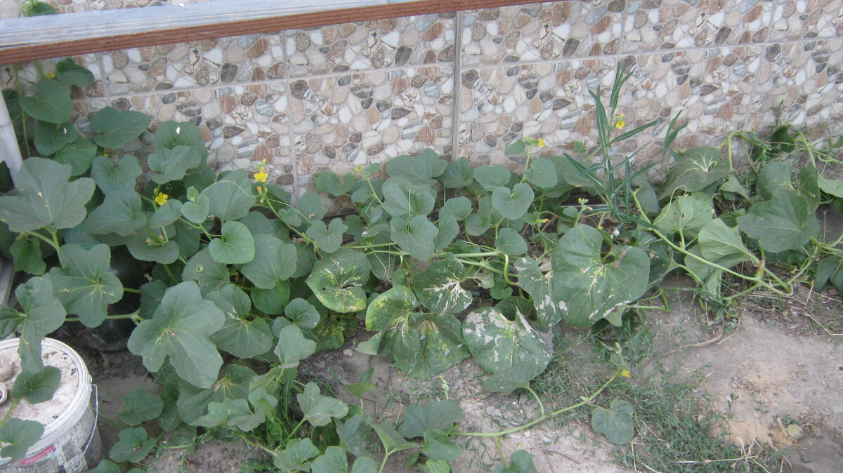 С этой стороны как бы ее и не видно.