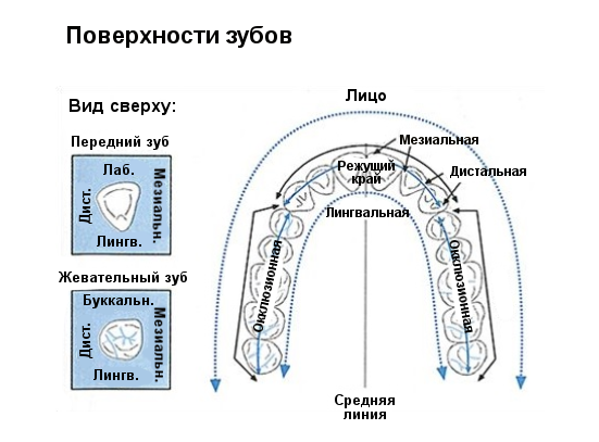 Эрозия эмали — о чём говорят пятна на зубах