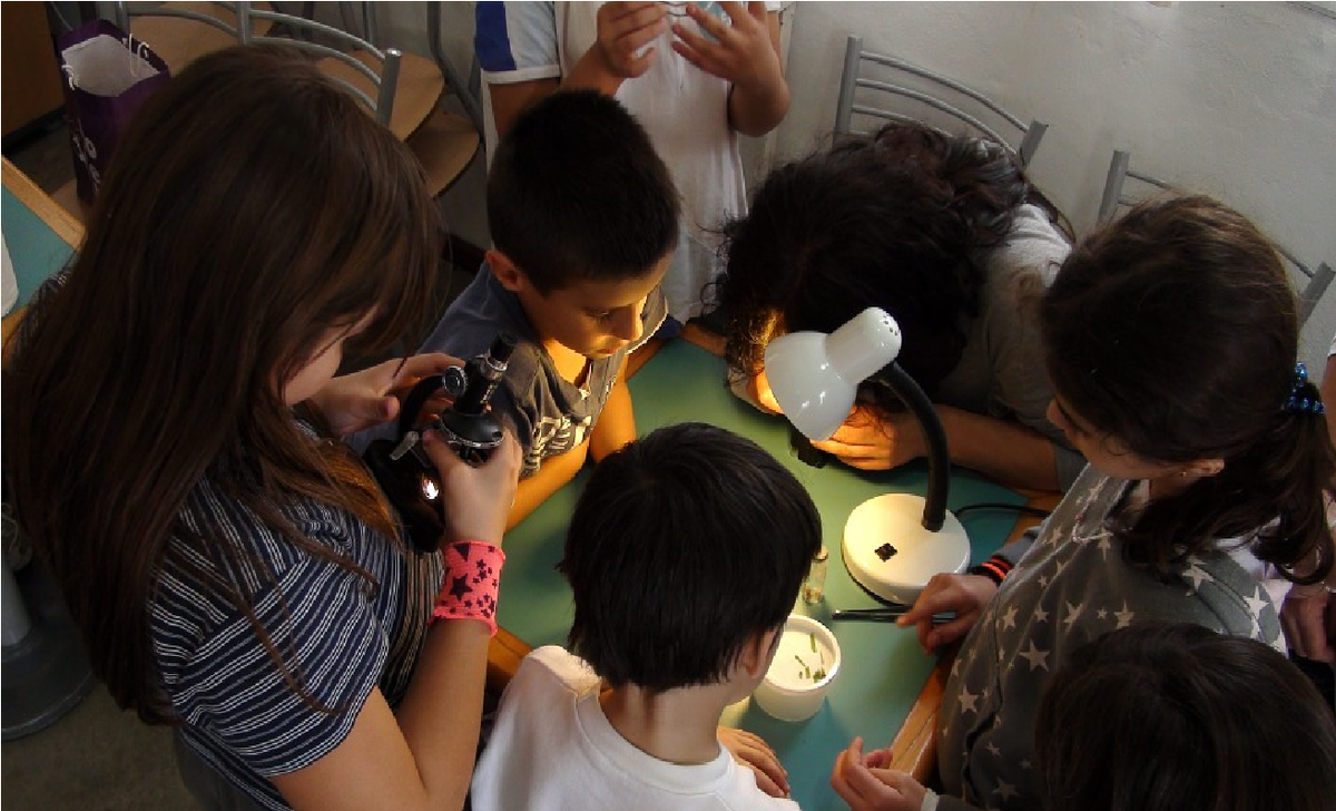 Фото с сайта pixabay.com