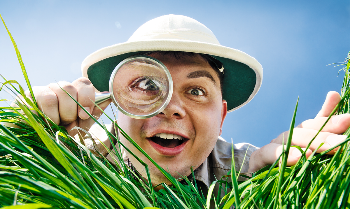 Видеомонтажа davinci resolve. Картинки поиск. Необычное хобби для женщин. Мисс кейти маленькая. Ищущий человек.