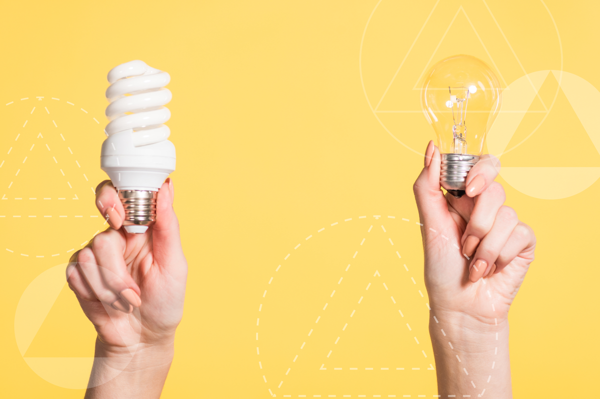 Step into the light толстовка. Скандинавский лес. Light. Лампа в руке. Choose the light.