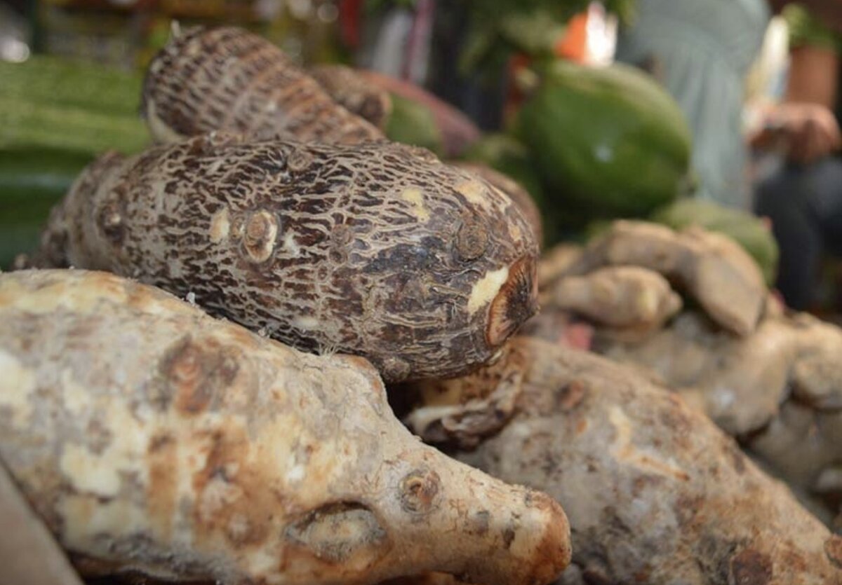 Волосатая картошка