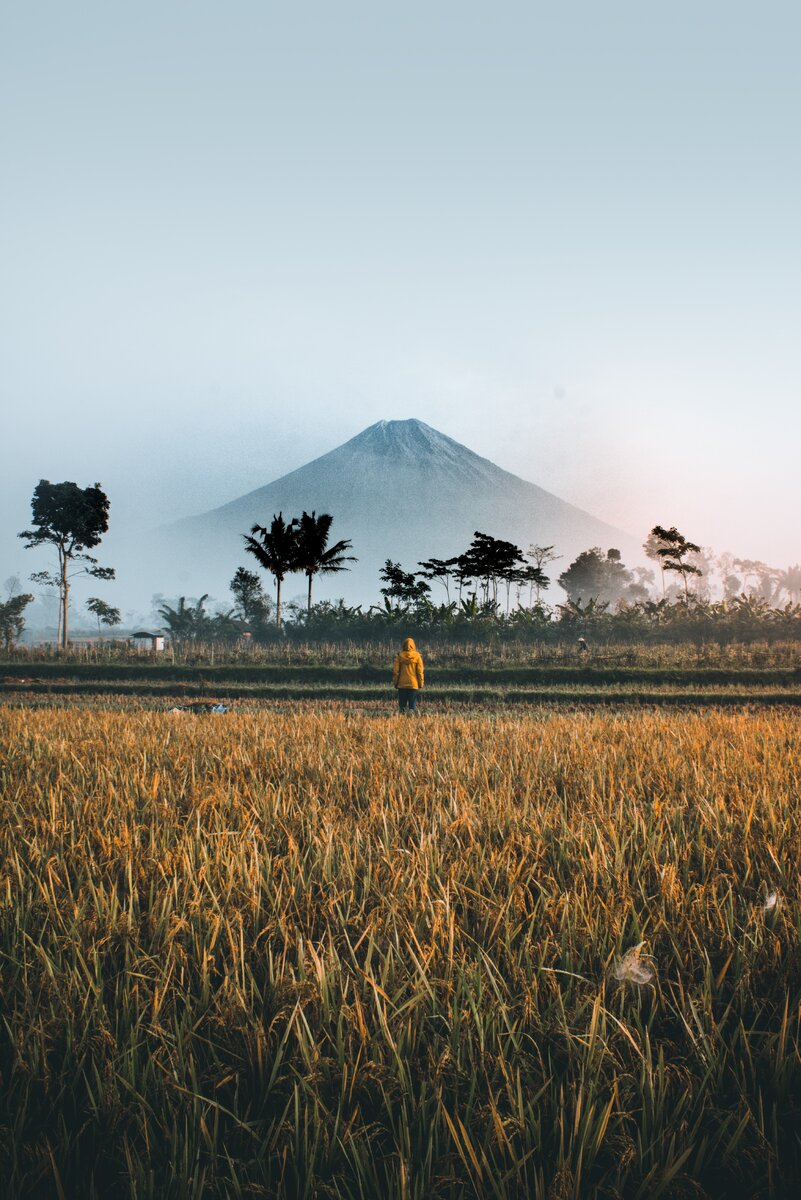 https://unsplash.com/photos/B04Xpnu5JQ4