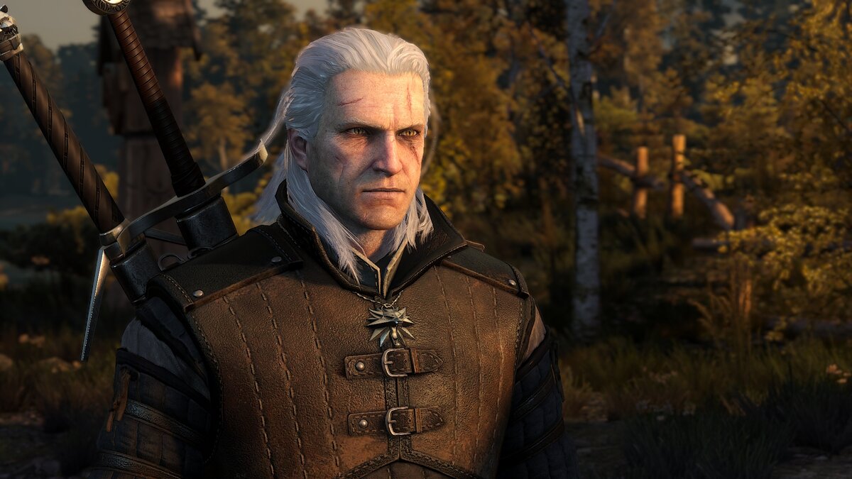 Моды, без которых я не запущу The Witcher 3 ч. 2 | Вредный Ламберт | Дзен