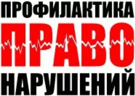 Изображение взято из открытых источников