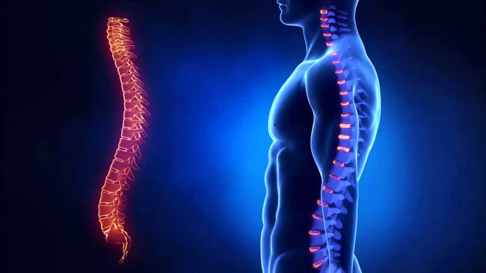 источник: evehealth.ru