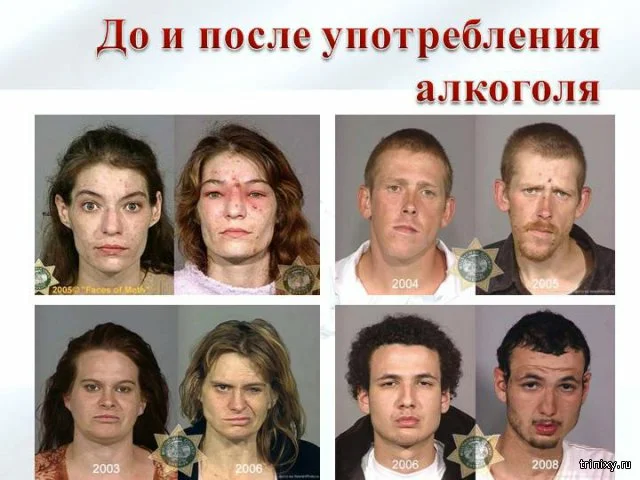 яндекс ист. 