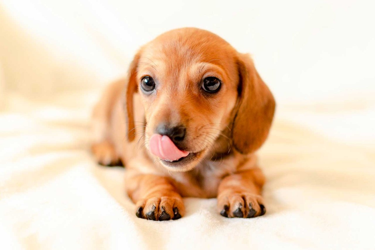 Фото: pixabay.com