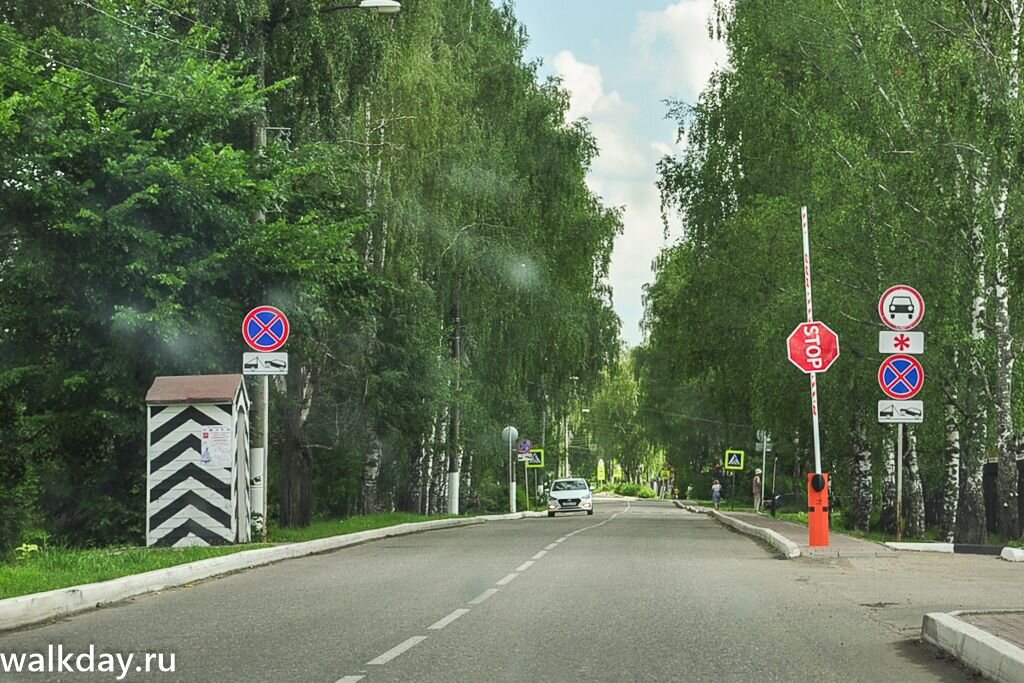 фото из интернета