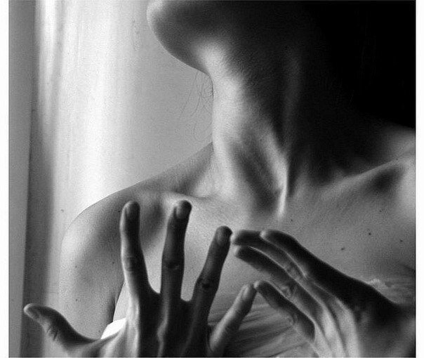 картинка находится в свободном доступе