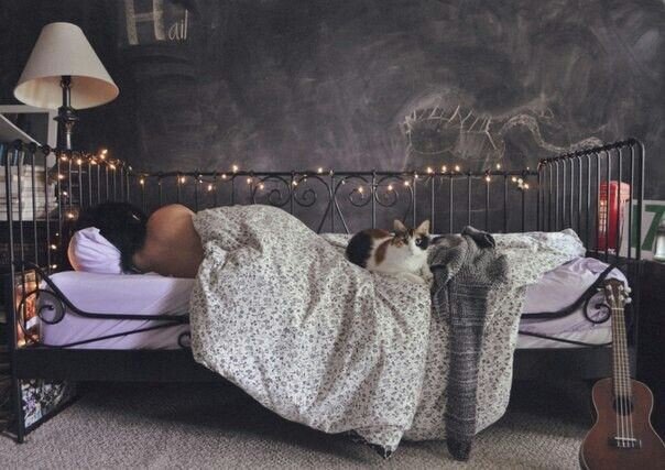 Норма +/- 8 часов 