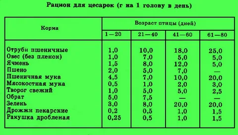 Таблица кормления.