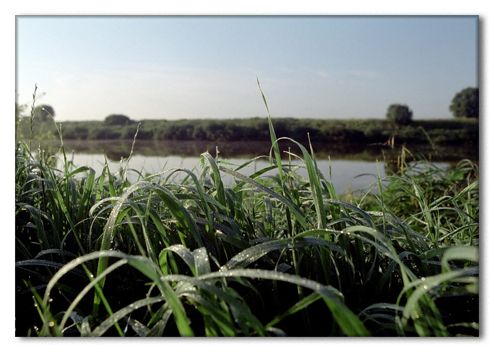 Тихий Дон. Фото автора.