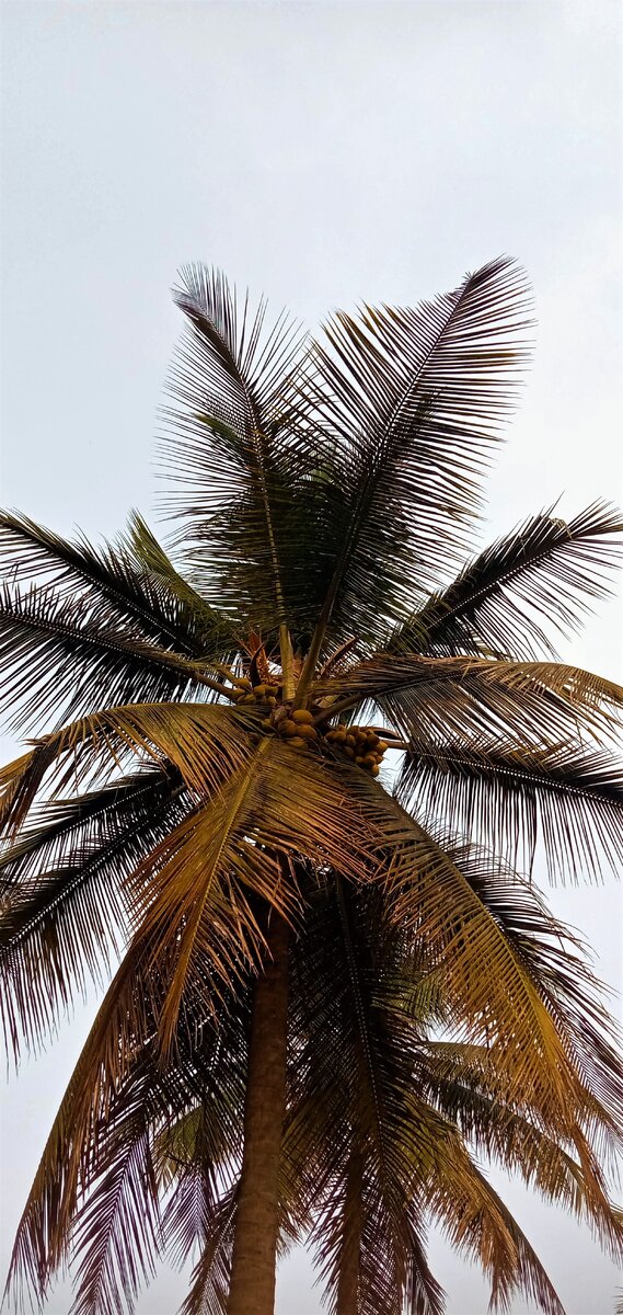 Фото из открытого источника https://unsplash.com/