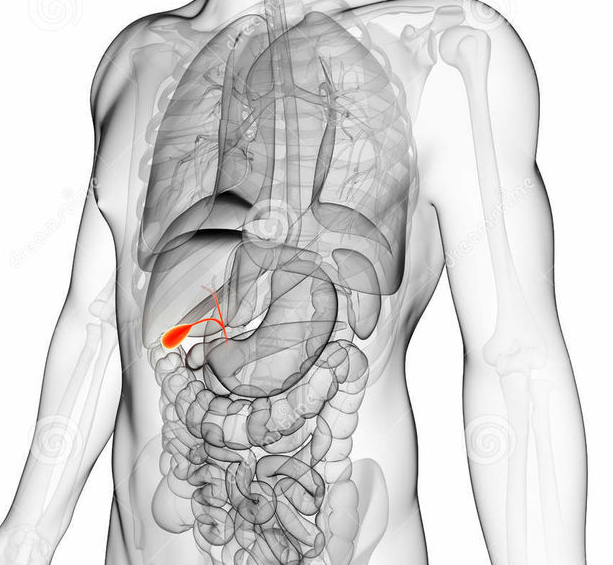 Лечение болезней желчного пузыря, поджелудочной железы